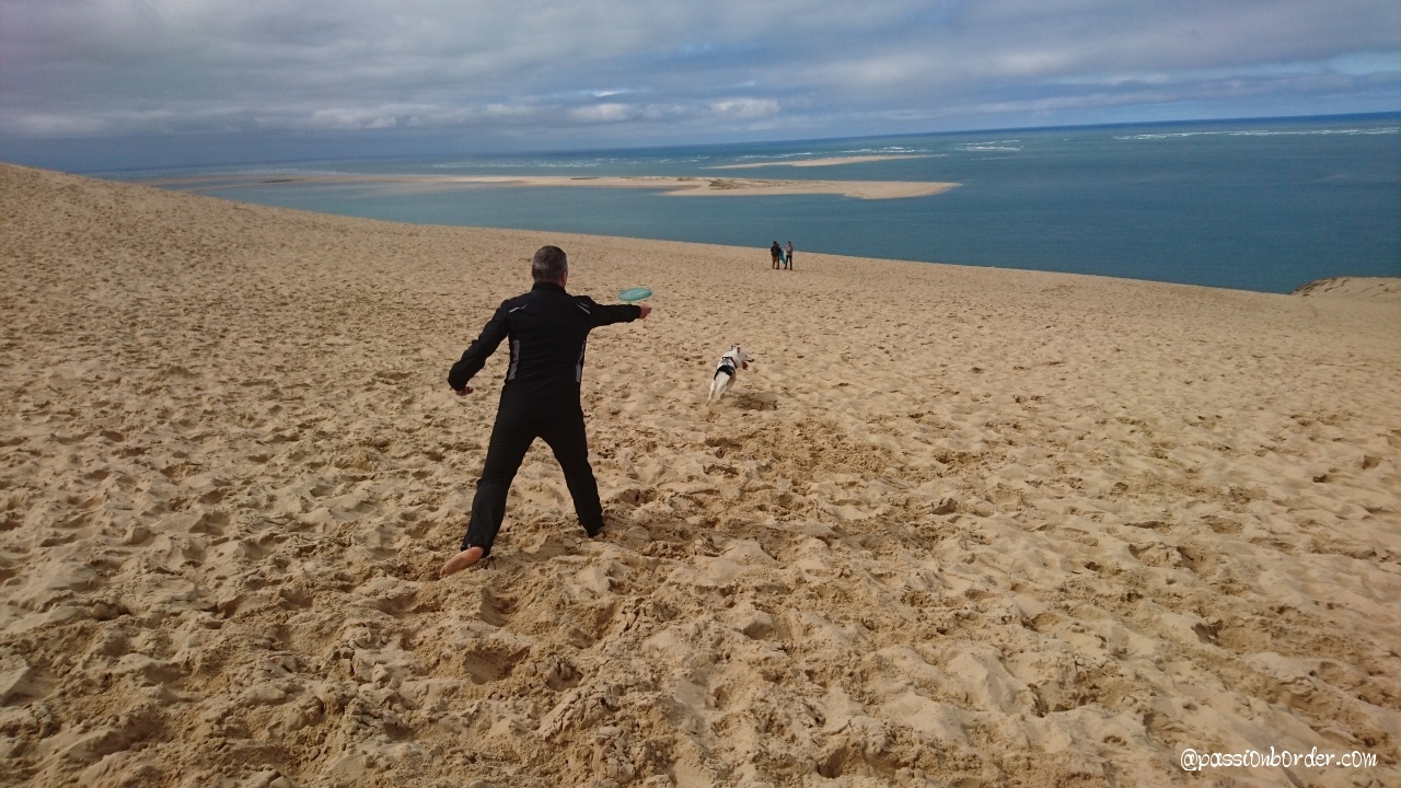 séance freesbie sur la dune du pilat - LAIKA - 7 mois
