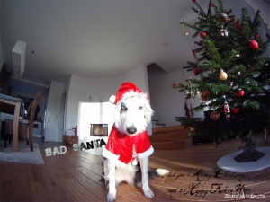 Very bad bad Santa... :)