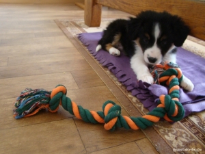 Il adore la corde :)