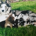 Haïko avec sa mère et ses frères et soeurs